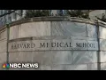 Two men arrested in connection with Harvard explosion