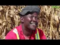 Doc Vikela paruzevha (Skit)