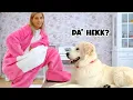 Lagu Pranking My Dog With Bear Costumes - Funny Dog Videos - Happy Licious