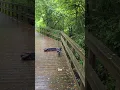 Download Lagu Scooter slipt op nat board - Nu heb ik een hoes nodig