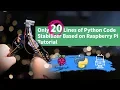 Only 20 Lines of Python Code Stabilizer Based on Raspberry Pi
