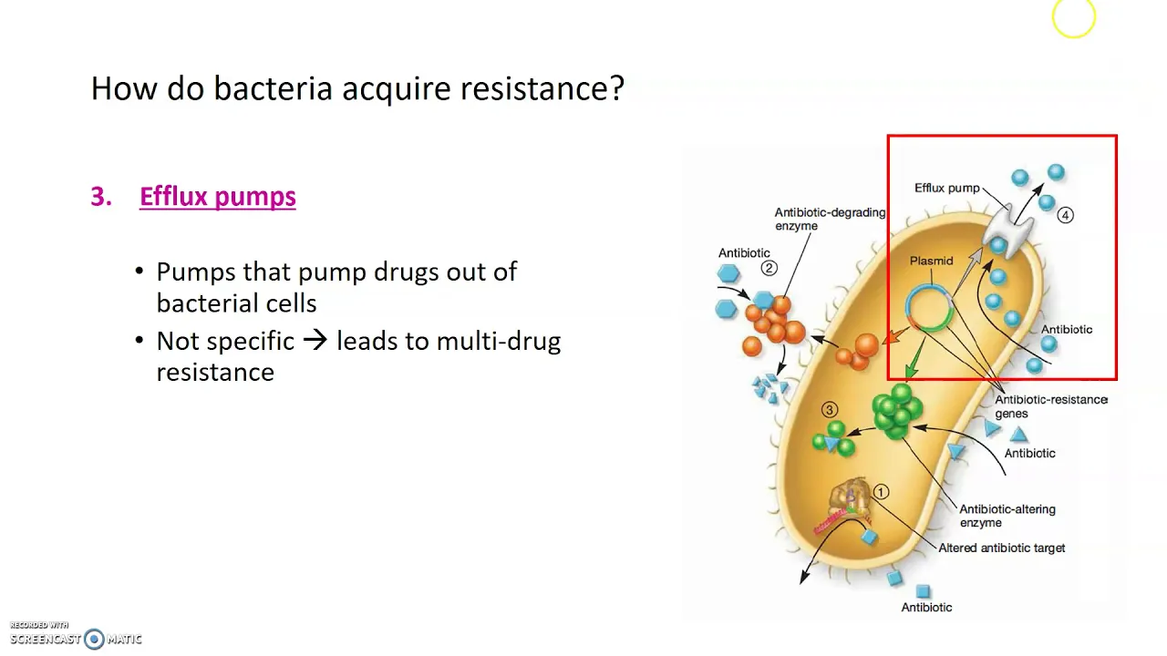 Antibiotic resistance