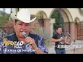 El Tigrillo Palma - 15 Años de Prison (Video Oficial)