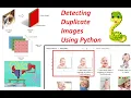 Removing Duplicate Images in Python Part 1 AI Camp