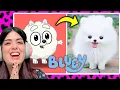 Download Lagu BLUEY en la VIDA REAL