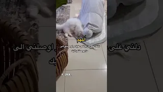 يارب الله يعلم ما نشكو من الالم حالات دينية حزينة اناشيد دينية حزينة 