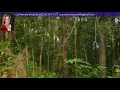 0 Riverbend Rd Bainbridge GA 39817 - MLS