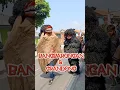 Download Lagu DISAMPERIN GRANDONG\u0026 BANGBARONGAN #barongan #grandong #bangbarongan #barongsai #senibenjangrajawali