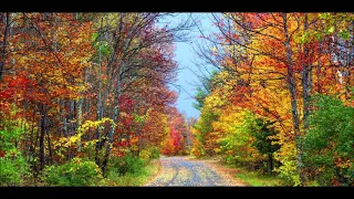 Dawn Of A New Time Music For The Soul 