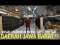 Download Lagu EDAN ! TERNYATA INI PABRIK BURUNG TERBESAR DI DAERAH JAWA BARAT SUPPLIER PASAR BURUNG PRAMUKA 