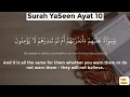 Surah Rahman Surah Yasin Surah Waqia Surah Mulk | best voice Tilawat Quran | Mishary Rashid Alafasy
