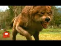 The Twilight Saga New Moon 2009 - Jacob s Transformation Scene Movieclips