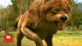 The Twilight Saga New Moon 2009 - Jacob s Transformation Scene Movieclips