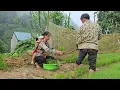Download Lagu How does a single mother survive? Independent life in the forest