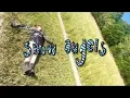 Gayle - Snow Angels  (Audio)