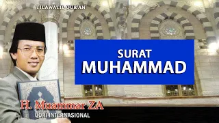 bacaan merdu surah muhammad muammar za al quran surat muhammad 