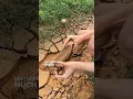 Download Lagu Foraging ✨ wild clay ✨ PART 1 #shorts #pottery #clay #wildclay