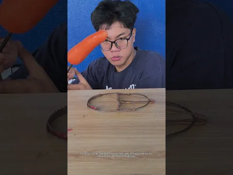 Bẩy chuột siêu mạnh