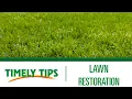 How To Restore a Lawn Menards
