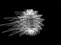 Superformula Shape Interpolation in Processing