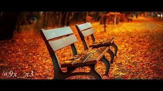 الأخرس اخر خريف بطيء 