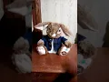 Dandee animated ear flapping Peter rabbit