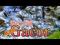Download Lagu TERAPI AIR, Burung Macet Bunyi Kembali Gacor, Suara Air Terapi Burung