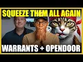 Download Lagu OPENDOOR SQUEEZE EN GAMESTOP WARRANTS!! ROBINHOOD WEER!?