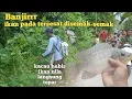 Download Lagu BANJIR LAGI ! mancing ikan banjiran nyesel ke pedalaman ternyata di parit desa banyak ikan nila nya