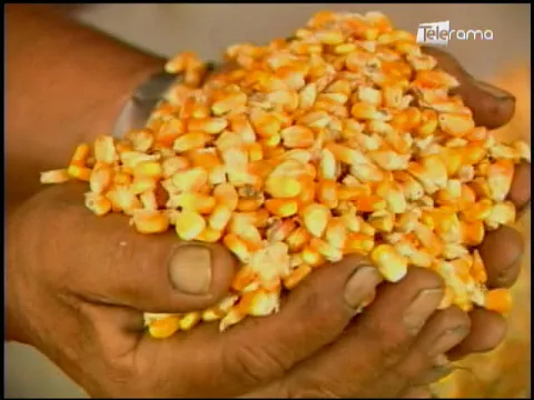 Ecuador Agropecuario 13-08-2018