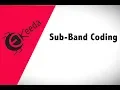 Explain Concept of Sub-band coding in Discrete Time Signal Processing