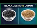 Don t Buy the Wrong Seed Black Jeera vs Cumin vs Kalonji