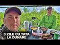 Download Lagu Crapul URIAȘ mi-a luat lanseta în Dunăre! Am sărit după ea! | 3 zile de pescuit  în Delta Dunării
