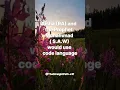Download Lagu A story of the Prophet Muhammad   (S.A.W)and Aisha (RA) || Wedding Nasheed ||
