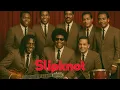 Download Lagu Before I Forget (AI Soul Cover)