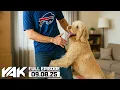 Download Lagu Bills Fan Kody is Getting Violated By the Internet and His Dog | The Yak 9-8-25