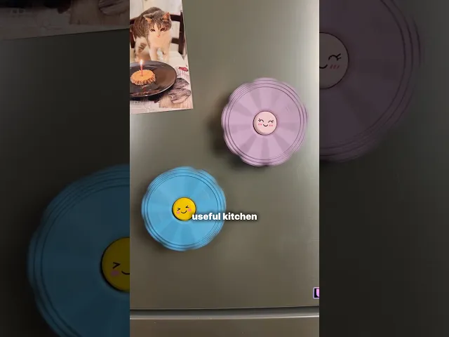 BLOOM CLIPS | MAGNETIC FLOWER WITH PETAL CLIPS video thumbnail