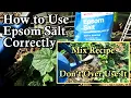 How to Correctly Use Epsom Salt on Cucumber Tomato Plants with Mix Recipe Don t Over Use it