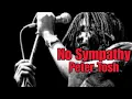 No Sympathy Peter Tosh! Classic Roots Reggae💯🔥🎸
