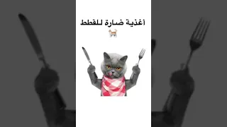 أغذية ضارة للقطط 