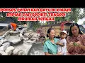 Download Lagu PROSES PENATAAN BATU DIKOLAM IMPIAN DAN ADA SEDIKIT TRAGEDI DIRUMAH MBAK YANTI