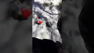 نقعدلك فيدال و نديروا الحلال 