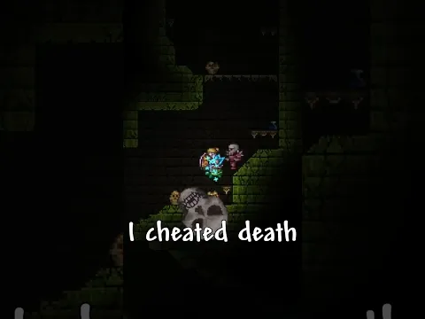 I've NEVER seen this glitch before... #terraria