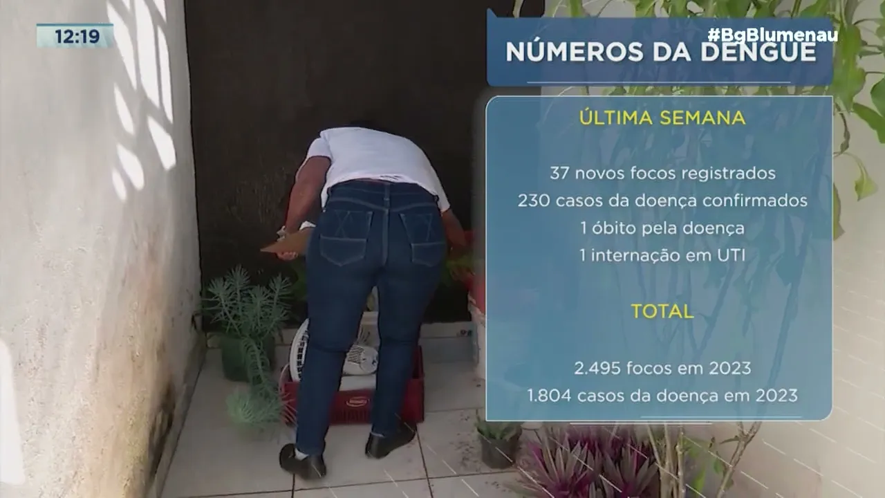 Dengue: Blumenau registra 37 novos focos do mosquito e 230 casos da doença confirmados