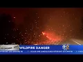 SigAlert Issued For Chickens On 5 Freeway
