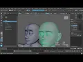 Procedural blendShape splitting