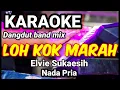 Download Lagu LOH KOK MARAH - Elvie Sukaesih | Karaoke dut band mix nada pria | Lirik