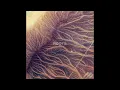 Ross Lara - Roots EP