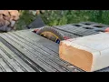 Delta - 10 Inch Bench Saw