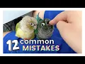 12 COMMON MISTAKES THAT BIRD OWNERS MAKE Parrot Ownership